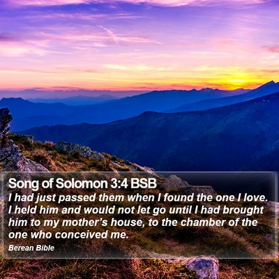 Song of Solomon 3:4 BSB Bible Verse Image