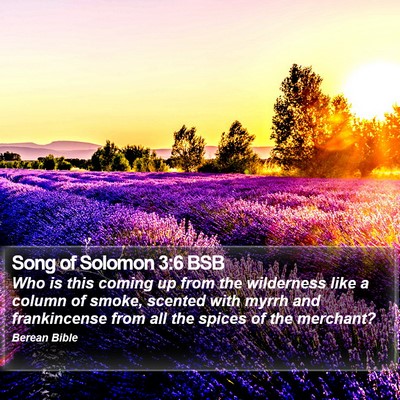 Song of Solomon 3:6 BSB Bible Verse Image
