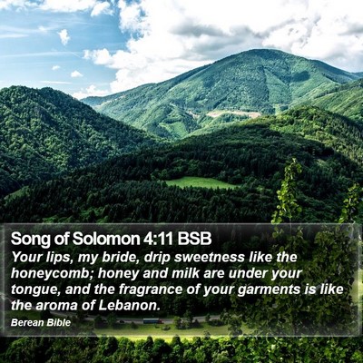 Song of Solomon 4:11 BSB Bible Verse Image