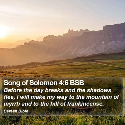 Song of Solomon 4:6 BSB Bible Verse Image