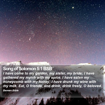 Song of Solomon 5:1 BSB Bible Verse Image