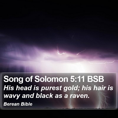 Song of Solomon 5:11 BSB Bible Verse Image