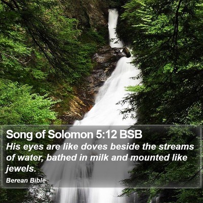 Song of Solomon 5:12 BSB Bible Verse Image