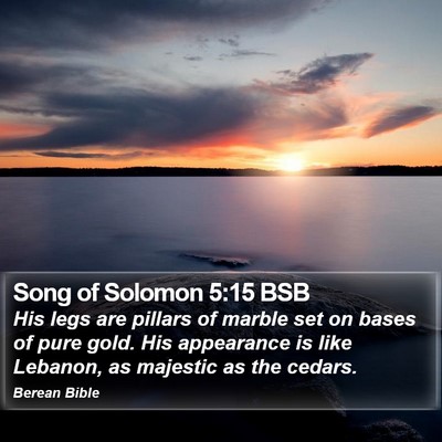 Song of Solomon 5:15 BSB Bible Verse Image
