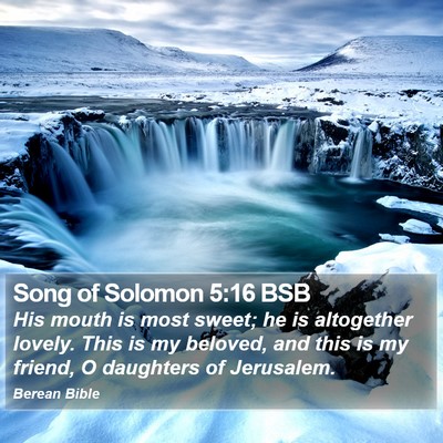 Song of Solomon 5:16 BSB Bible Verse Image