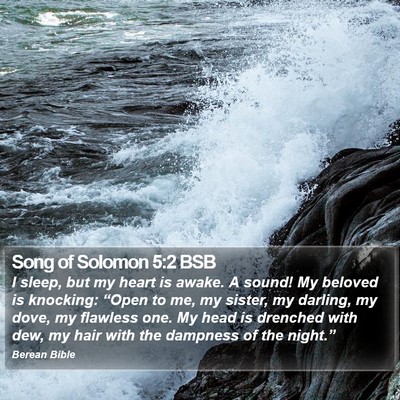 Song of Solomon 5:2 BSB Bible Verse Image