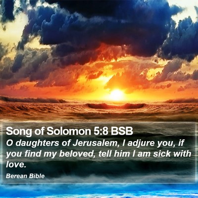 Song of Solomon 5:8 BSB Bible Verse Image