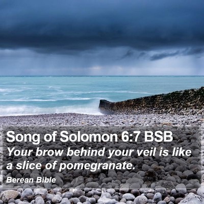 Song of Solomon 6:7 BSB Bible Verse Image