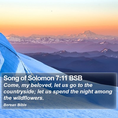Song of Solomon 7:11 BSB Bible Verse Image