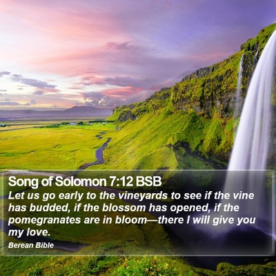 Song of Solomon 7:12 BSB Bible Verse Image