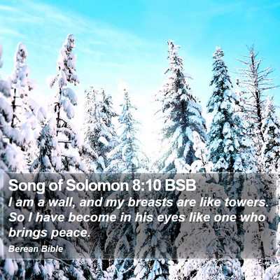 Song of Solomon 8:10 BSB Bible Verse Image