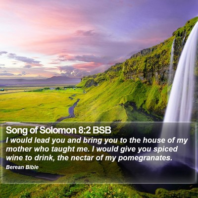 Song of Solomon 8:2 BSB Bible Verse Image