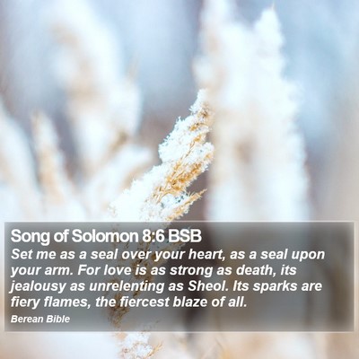 Song of Solomon 8:6 BSB Bible Verse Image