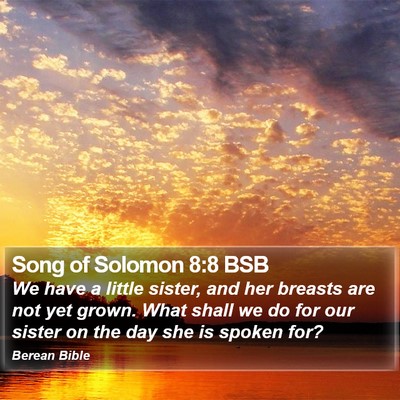 Song of Solomon 8:8 BSB Bible Verse Image