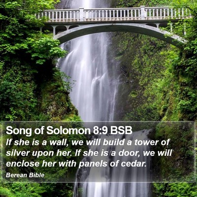 Song of Solomon 8:9 BSB Bible Verse Image