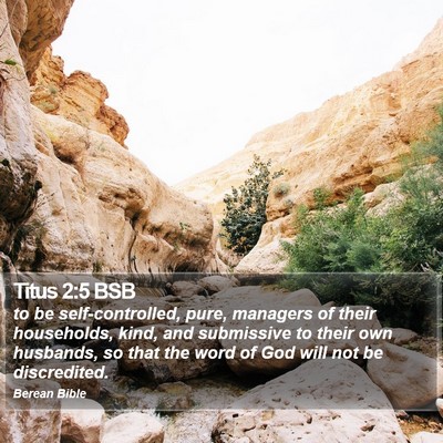Titus 2:5 BSB Bible Verse Image