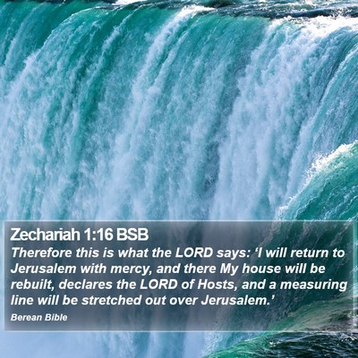 Zechariah 1:16 BSB Bible Verse Image