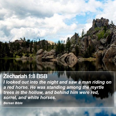 Zechariah 1:8 BSB Bible Verse Image