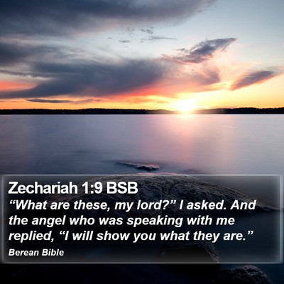 Zechariah 1:9 BSB Bible Verse Image