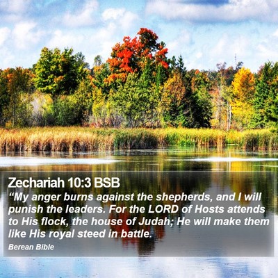 Zechariah 10:3 BSB Bible Verse Image