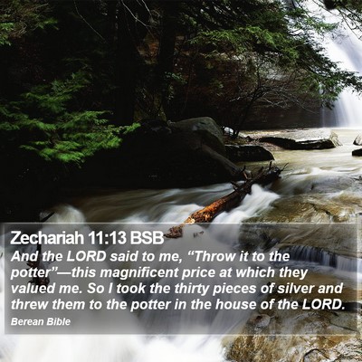 Zechariah 11:13 BSB Bible Verse Image