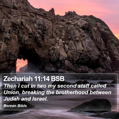 Zechariah 11:14 BSB Bible Verse Image