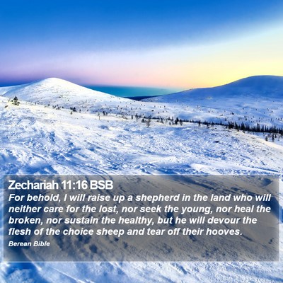 Zechariah 11:16 BSB Bible Verse Image