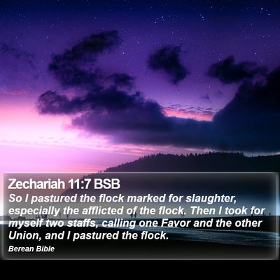 Zechariah 11:7 BSB Bible Verse Image