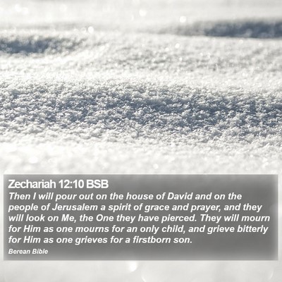 Zechariah 12:10 BSB Bible Verse Image
