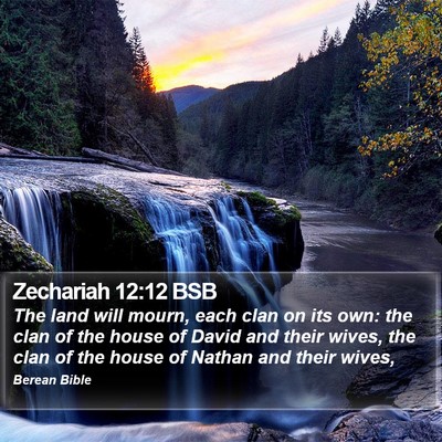 Zechariah 12:12 BSB Bible Verse Image