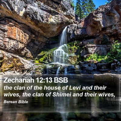 Zechariah 12:13 BSB Bible Verse Image