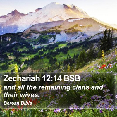 Zechariah 12:14 BSB Bible Verse Image
