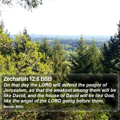 Zechariah 12:8 BSB Bible Verse Image