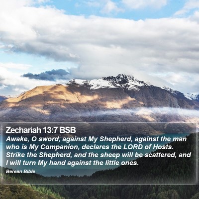Zechariah 13:7 BSB Bible Verse Image