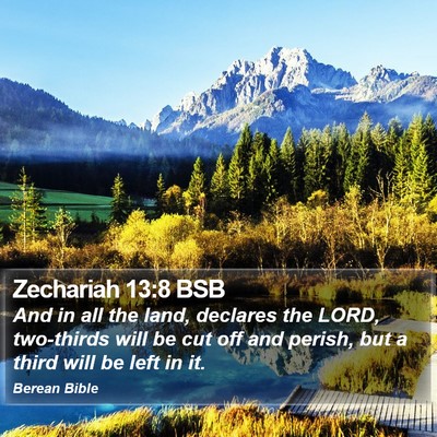 Zechariah 13:8 BSB Bible Verse Image