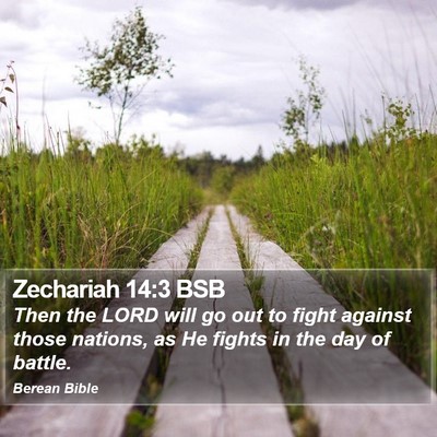 Zechariah 14:3 BSB Bible Verse Image