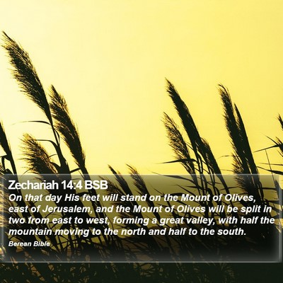 Zechariah 14:4 BSB Bible Verse Image