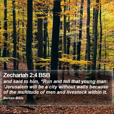 Zechariah 2:4 BSB Bible Verse Image