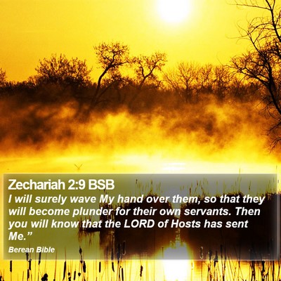 Zechariah 2:9 BSB Bible Verse Image