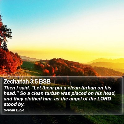 Zechariah 3:5 BSB Bible Verse Image