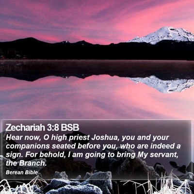 Zechariah 3:8 BSB Bible Verse Image