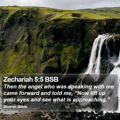 Zechariah 5:5 BSB Bible Verse Image