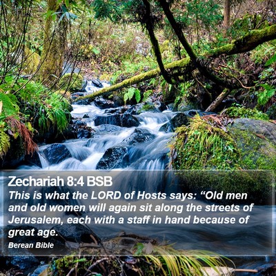 Zechariah 8:4 BSB Bible Verse Image