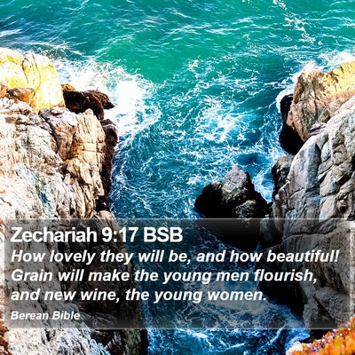 Zechariah 9:17 BSB Bible Verse Image