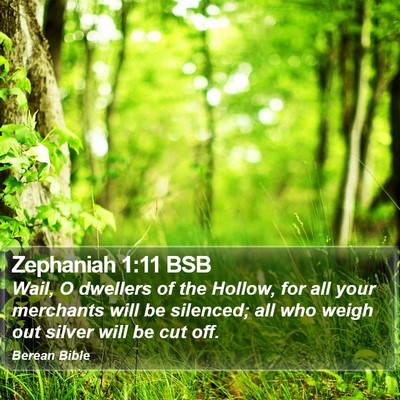 Zephaniah 1:11 BSB Bible Verse Image