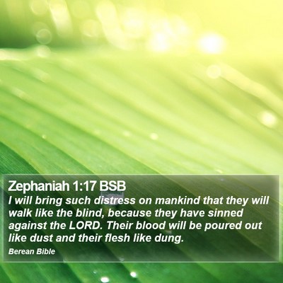 Zephaniah 1:17 BSB Bible Verse Image