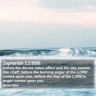 Zephaniah 2:2 BSB Bible Verse Image