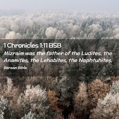 Picture 02 - 1 Chronicles 1:11 BSB - Mizraim was the father of the Ludites, the - Bible Verse Picture