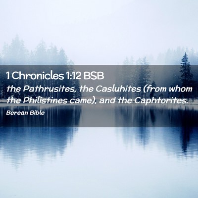 Picture 02 - 1 Chronicles 1:12 BSB - the Pathrusites, the Casluhites (from whom the - Bible Verse Picture