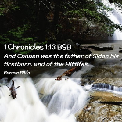 Picture 02 - 1 Chronicles 1:13 BSB - And Canaan was the father of Sidon his firstborn, - Bible Verse Picture